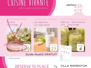 Comment fabriquer son lait/yogourt végé, sa lactofermentation de bean